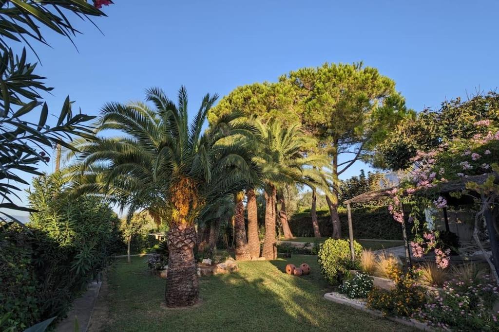 Casita De La Higuera Villa Xabia Bagian luar foto